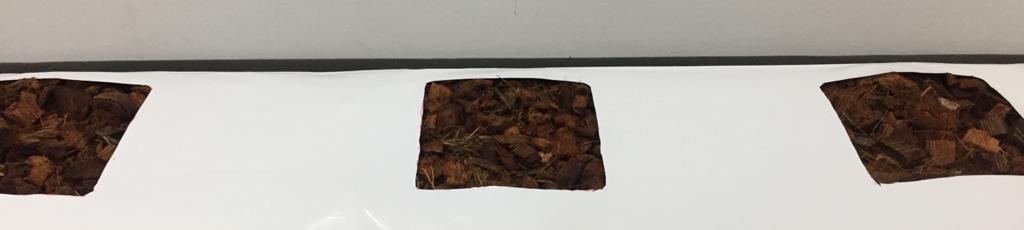 Top of a watered grow bag with planting holes cut into it, showing the coconut husk chips inside